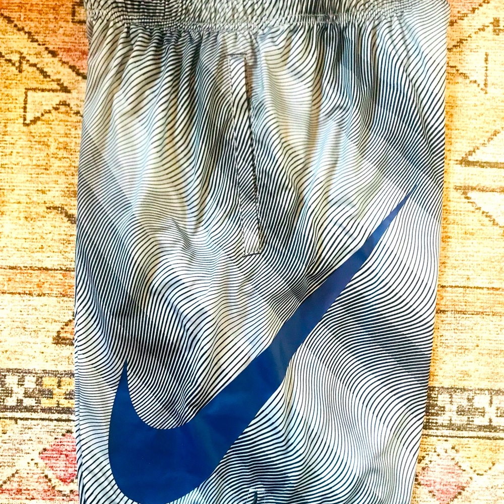 Nike Dri-Fit Icon Baseball shorts
